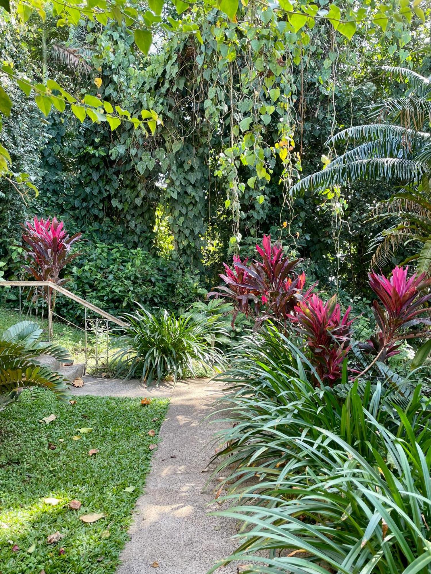 Babinda Quarters Hotel Exterior photo
